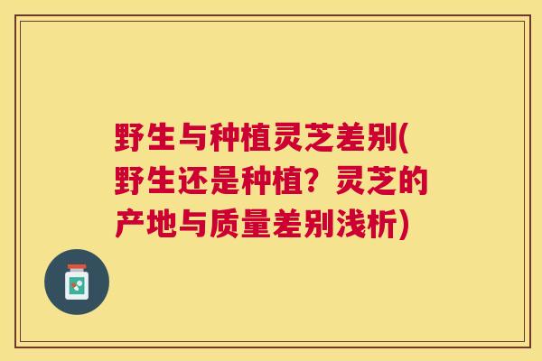 野生与种植灵芝差别(野生还是种植?灵芝的产地与质量差别浅析) 野生与种植灵芝差别(野生还是种植?灵芝的产地与质量差别浅析)