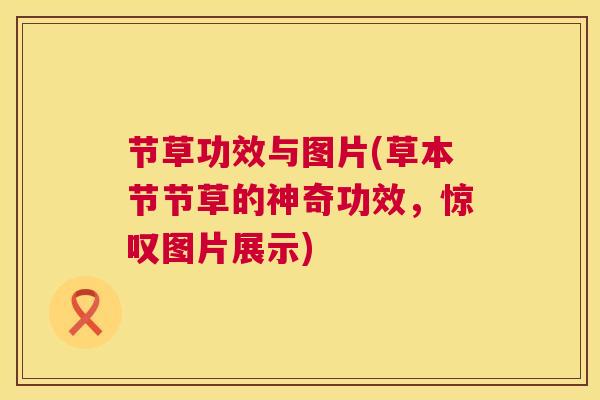 节草功效与图片(草本节节草的神奇功效，惊叹图片展示)
