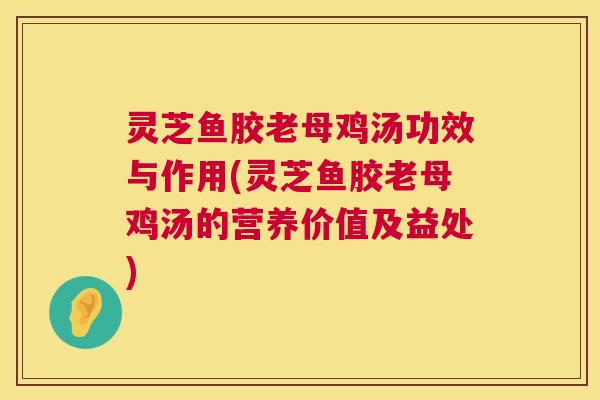 灵芝鱼胶老母鸡汤功效与作用(灵芝鱼胶老母鸡汤的营养价值及益处) 灵芝鱼胶老母鸡汤功效与作用(灵芝鱼胶老母鸡汤的营养价值及益处)