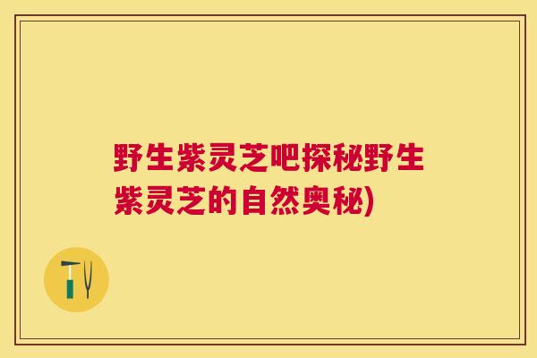 野生紫灵芝吧探秘野生紫灵芝的自然奥秘) 野生紫灵芝吧探秘野生紫灵芝的自然奥秘)