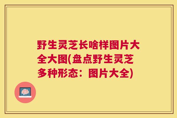 野生灵芝长啥样图片大全大图(盘点野生灵芝多种形态：图片大全)