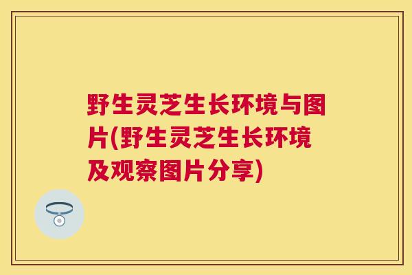 野生灵芝生长环境与图片(野生灵芝生长环境及观察图片分享) 野生灵芝生长环境与图片(野生灵芝生长环境及观察图片分享)