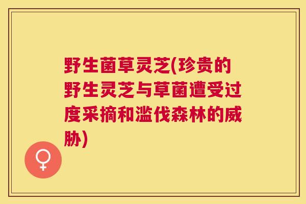 野生菌草灵芝(珍贵的野生灵芝与草菌遭受过度采摘和滥伐森林的威胁) 野生菌草灵芝(珍贵的野生灵芝与草菌遭受过度采摘和滥伐森林的威胁)