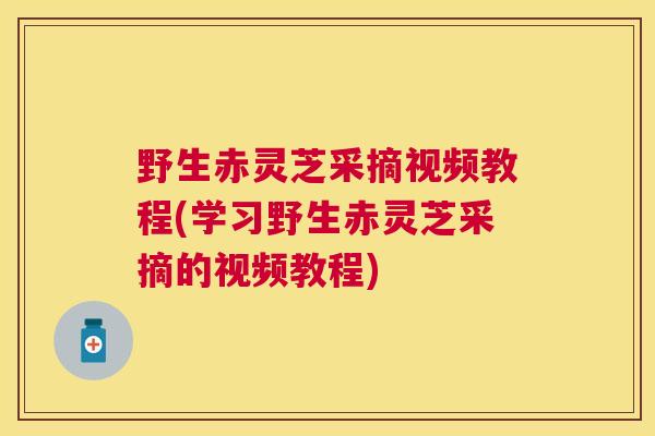 野生赤灵芝采摘视频教程(学习野生赤灵芝采摘的视频教程)