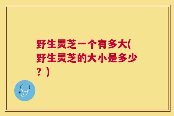 野生灵芝一个有多大(野生灵芝的大小是多少?) 野生灵芝一个有多大(野生灵芝的大小是多少?)