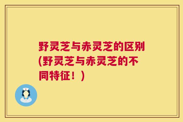 野灵芝与赤灵芝的区别(野灵芝与赤灵芝的不同特征！)