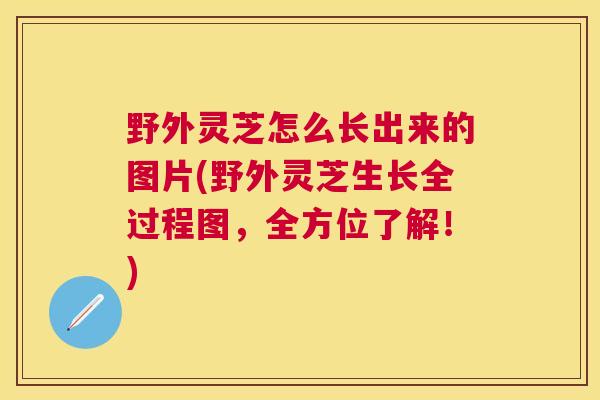 野外灵芝怎么长出来的图片(野外灵芝生长全过程图，全方位了解！)