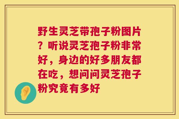野生灵芝带孢子粉图片？听说灵芝孢子粉非常好，身边的好多朋友都在吃，想问问灵芝孢子粉究竟有多好