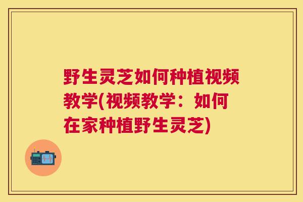 野生灵芝如何种植视频教学(视频教学：如何在家种植野生灵芝)