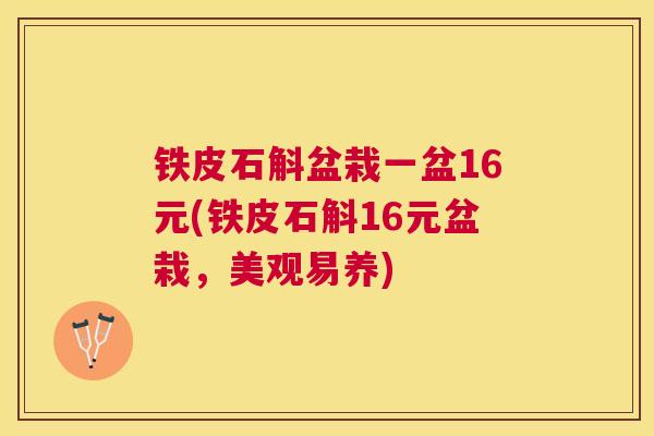 铁皮石斛盆栽一盆16元(铁皮石斛16元盆栽，美观易养)