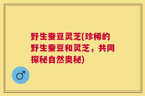 野生蚕豆灵芝(珍稀的野生蚕豆和灵芝，共同探秘自然奥秘)
