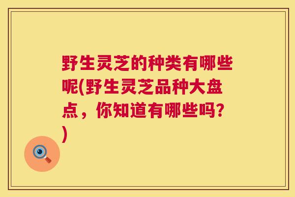 野生灵芝的种类有哪些呢(野生灵芝品种大盘点，你知道有哪些吗？)