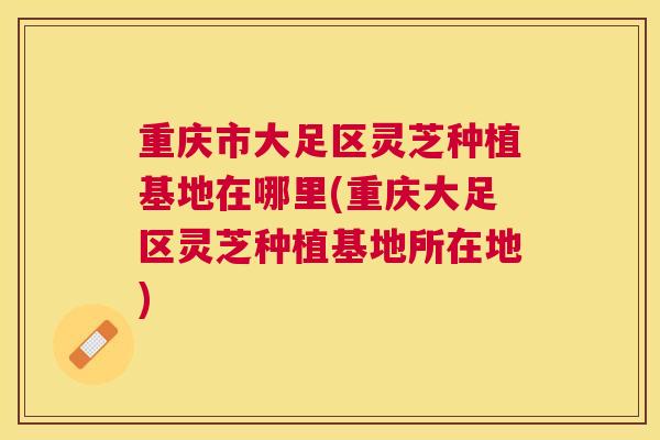 重庆市大足区灵芝种植基地在哪里(重庆大足区灵芝种植基地所在地)
