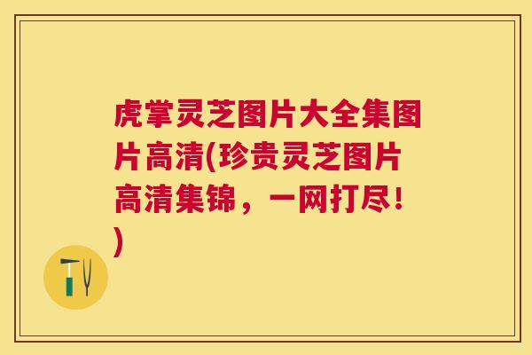 虎掌灵芝图片大全集图片高清(珍贵灵芝图片高清集锦，一网打尽！)