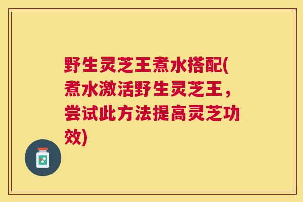 野生灵芝王煮水搭配(煮水激活野生灵芝王，尝试此方法提高灵芝功效)