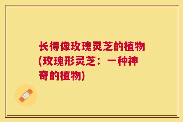 长得像玫瑰灵芝的植物(玫瑰形灵芝：一种神奇的植物)