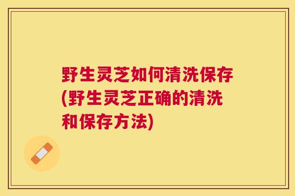 野生灵芝如何清洗保存(野生灵芝正确的清洗和保存方法)