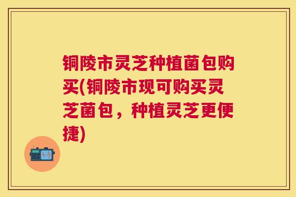 铜陵市灵芝种植菌包购买(铜陵市现可购买灵芝菌包,种植灵芝更便捷) 铜陵市灵芝种植菌包购买(铜陵市现可购买灵芝菌包,种植灵芝更便捷)