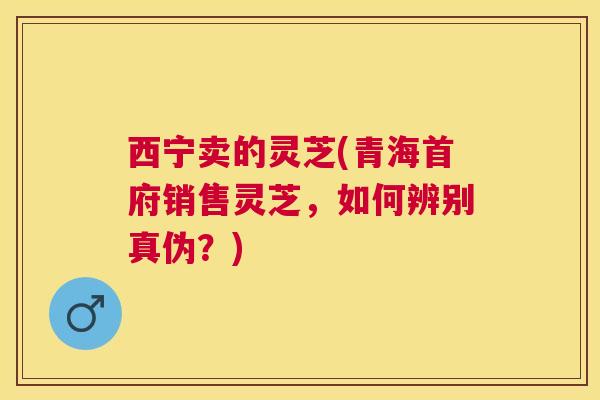 西宁卖的灵芝(青海首府销售灵芝,如何辨别真伪?) 西宁卖的灵芝(青海首府销售灵芝,如何辨别真伪?)