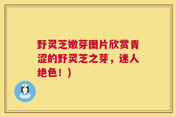 野灵芝嫩芽图片欣赏青涩的野灵芝之芽，迷人绝色！)