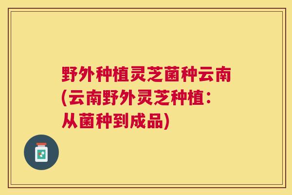 野外种植灵芝菌种云南(云南野外灵芝种植：从菌种到成品)