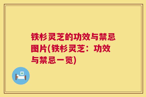 铁杉灵芝的功效与禁忌图片(铁杉灵芝:功效与禁忌一览) 铁杉灵芝的功效与禁忌图片(铁杉灵芝:功效与禁忌一览)