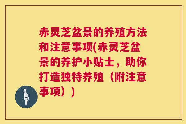 赤灵芝盆景的养殖方法和注意事项(赤灵芝盆景的养护小贴士,助你打造独特养殖(附注意事项)) 赤灵芝盆景的养殖方法和注意事项(赤灵芝盆景的养护小贴士,助你打造独特养殖(附注意事项))