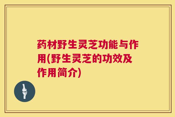 药材野生灵芝功能与作用(野生灵芝的功效及作用简介)