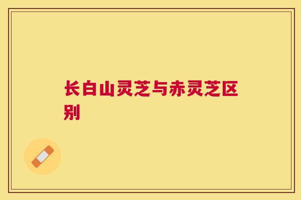 长白山灵芝与赤灵芝区别