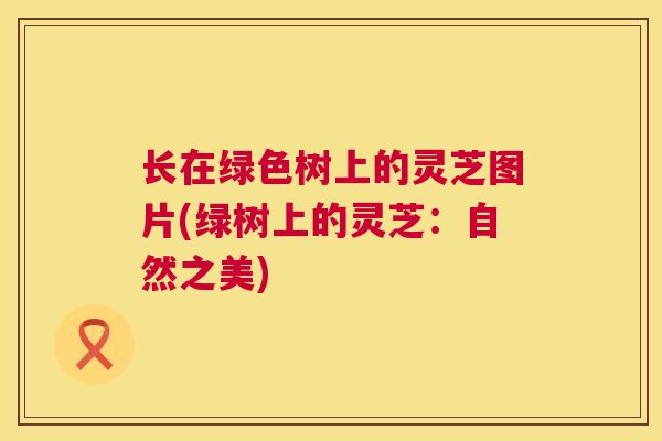长在绿色树上的灵芝图片(绿树上的灵芝:自然之美) 长在绿色树上的灵芝图片(绿树上的灵芝:自然之美)