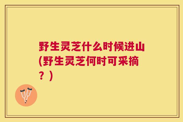 野生灵芝什么时候进山(野生灵芝何时可采摘？)