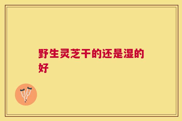 野生灵芝干的还是湿的好 野生灵芝干的还是湿的好