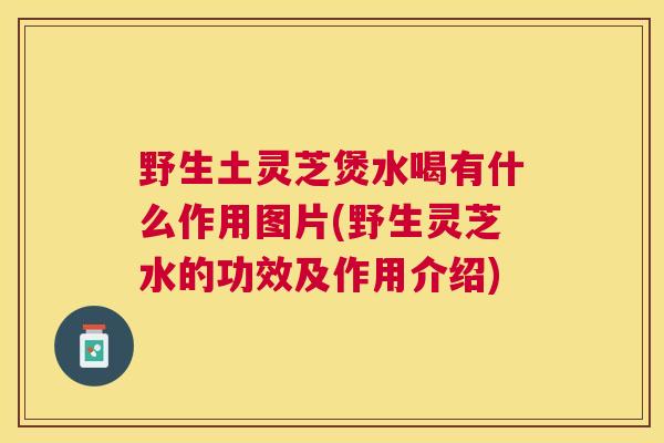 野生土灵芝煲水喝有什么作用图片(野生灵芝水的功效及作用介绍) 野生土灵芝煲水喝有什么作用图片(野生灵芝水的功效及作用介绍)