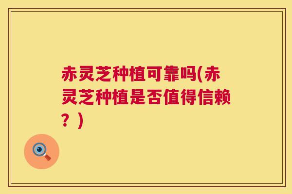 赤灵芝种植可靠吗(赤灵芝种植是否值得信赖?) 赤灵芝种植可靠吗(赤灵芝种植是否值得信赖?)