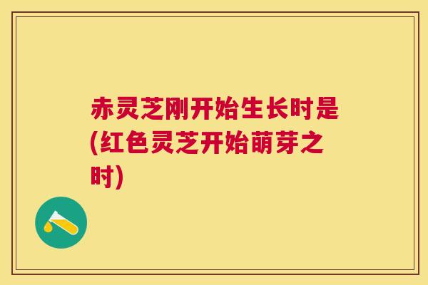 赤灵芝刚开始生长时是(红色灵芝开始萌芽之时) 赤灵芝刚开始生长时是(红色灵芝开始萌芽之时)