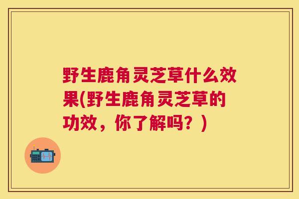野生鹿角灵芝草什么效果(野生鹿角灵芝草的功效，你了解吗？)