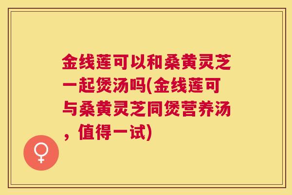 金线莲可以和桑黄灵芝一起煲汤吗(金线莲可与桑黄灵芝同煲营养汤,值得一试) 金线莲可以和桑黄灵芝一起煲汤吗(金线莲可与桑黄灵芝同煲营养汤,值得一试)