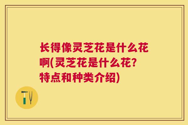 长得像灵芝花是什么花啊(灵芝花是什么花?特点和种类介绍) 长得像灵芝花是什么花啊(灵芝花是什么花?特点和种类介绍)