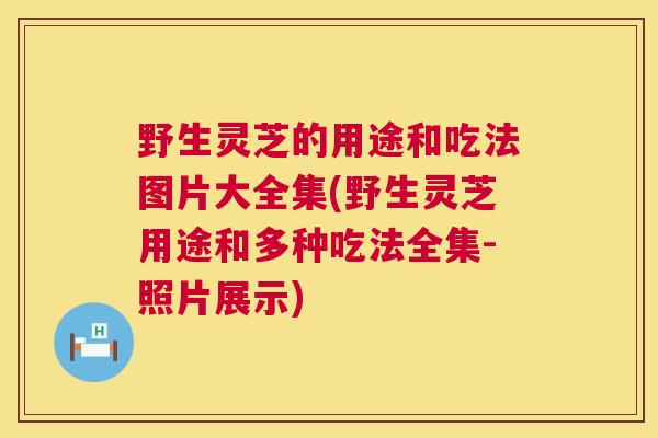 野生灵芝的用途和吃法图片大全集(野生灵芝用途和多种吃法全集-照片展示) 野生灵芝的用途和吃法图片大全集(野生灵芝用途和多种吃法全集-照片展示)