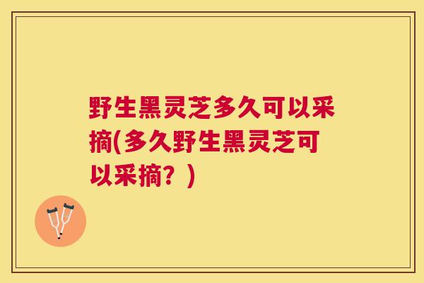 野生黑灵芝多久可以采摘(多久野生黑灵芝可以采摘?) 野生黑灵芝多久可以采摘(多久野生黑灵芝可以采摘?)