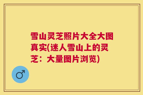 雪山灵芝照片大全大图真实(迷人雪山上的灵芝:大量图片浏览) 雪山灵芝照片大全大图真实(迷人雪山上的灵芝:大量图片浏览)