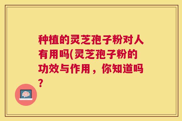 种植的灵芝孢子粉对人有用吗(灵芝孢子粉的功效与作用，你知道吗？