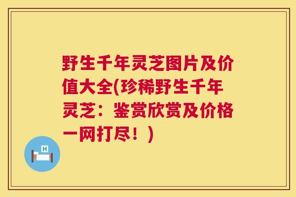 野生千年灵芝图片及价值大全(珍稀野生千年灵芝：鉴赏欣赏及价格一网打尽！)