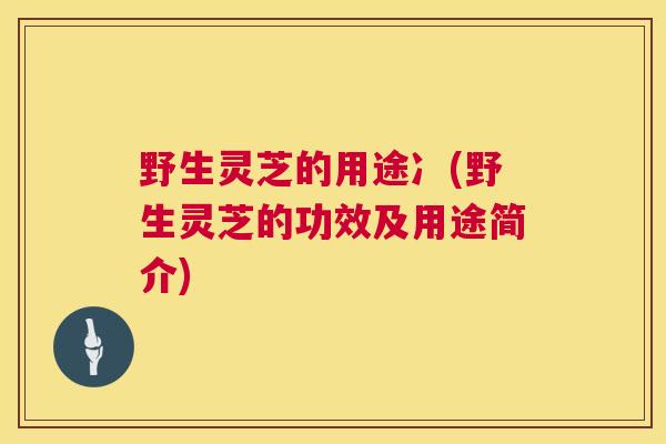 野生灵芝的用途冫(野生灵芝的功效及用途简介)