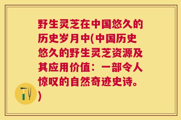 野生灵芝在中国悠久的历史岁月中(中国历史悠久的野生灵芝资源及其应用价值：一部令人惊叹的自然奇迹史诗。)