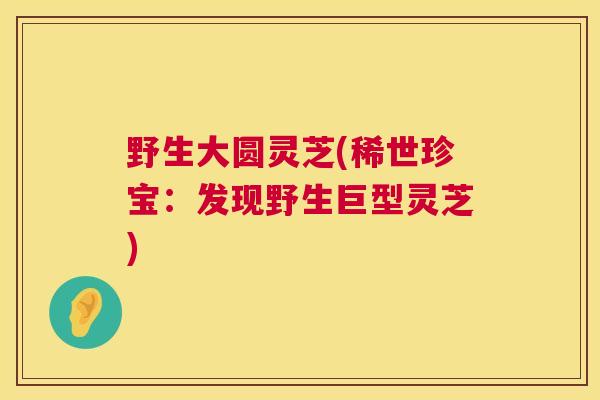野生大圆灵芝(稀世珍宝：发现野生巨型灵芝)