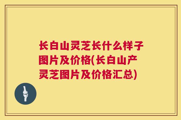 长白山灵芝长什么样子图片及价格(长白山产灵芝图片及价格汇总) 长白山灵芝长什么样子图片及价格(长白山产灵芝图片及价格汇总)