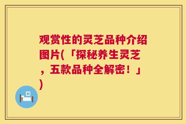 观赏性的灵芝品种介绍图片(「探秘养生灵芝,五款品种全解密!」) 观赏性的灵芝品种介绍图片(「探秘养生灵芝,五款品种全解密!」)