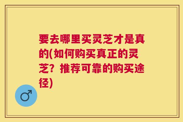 要去哪里买灵芝才是真的(如何购买真正的灵芝?推荐可靠的购买途径) 要去哪里买灵芝才是真的(如何购买真正的灵芝?推荐可靠的购买途径)