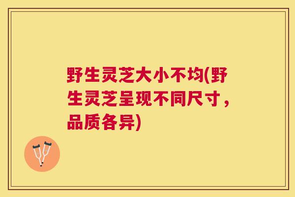 野生灵芝大小不均(野生灵芝呈现不同尺寸，品质各异)